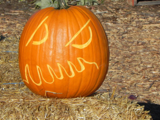 UnNamed, Nipomo Pumpkin Patch best carving idea